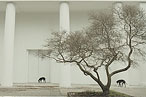 Saltz: Highlights of the Venice Biennale; Plus, Worst in Show