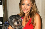 Lauren Conrad Blogs About the Dog-Fashion Show Fiasco [UPDATED]