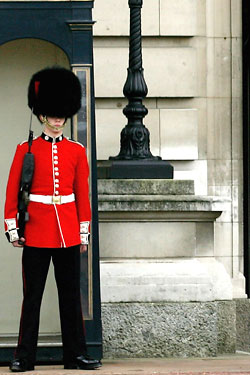 The offending bear-fur hats.
