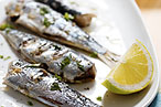 Finally, a Cause We Can Believe In: Sardines, Wonderful Sardines!