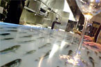 John Dory Taking Reservations Tomorrow; Fake and Real Fish in Place