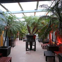 Studio B Reopens Under New Management (First Drink’s on Them!)