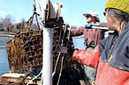 Video: Meet a Long Island Oyster Farmer