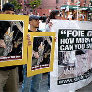 Foie protesters, protesting.