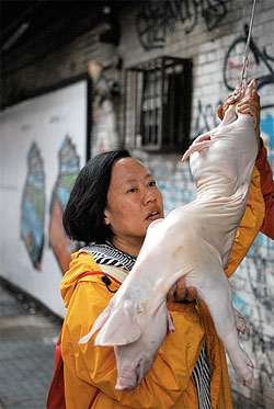Don’t Annoy the Dumpling Man