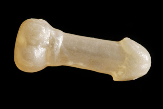 tailor gummi dick