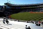 Yankees Relax Batting-Practice Policy for the Unwashed Masses