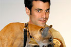Justin Rocket Silverman Enters the Cougars’ Den