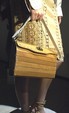 runway look thumbnail