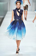 Runway look for Celine Spring 2009