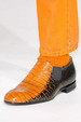 runway look thumbnail