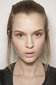 picture of Josephine Skriver