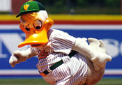 A Look At Minor League Baseball New York Magazine