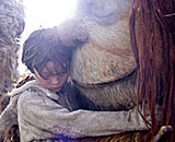 Wild Things