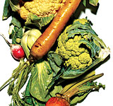 eating animals