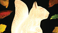lights