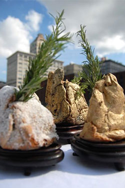 Rocks or dinner?