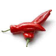 For every pepper, burn, burn, burn.