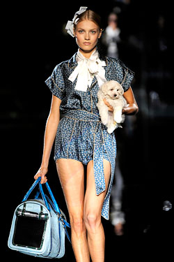 Puppy Walks the Dolce & Gabbana Show in Milan