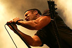 Trent Reznor Wants to Tap You Like an Animal