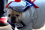 This Halloween, Stay Safe, Stay Drunk, and Stay Puft