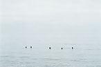 Photographer Catherine Opie Is Saving Up for That Zoom Lens