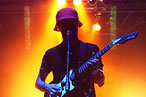 Animal Collective More Animal Collective Than Ever on New Studio Track