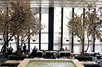 Four Seasons Turns 50