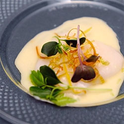 Top Chef Scallop Quote Turns Out to Be a Little Fishy