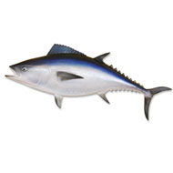 Sushi Moguls Buy Japan’s Priciest Tuna