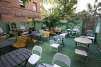 Slope’s Olive Vine Little D for Sale?