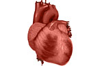 Have a Heart