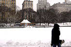 Where Is New York’s Windiest Location?
