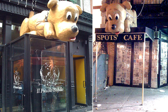 Spots Finds a New, Lonely Home on Mulberry Street