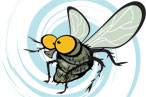 Waiter, There’s a Fly, Maggots, and Mammalian Excreta in My Soup