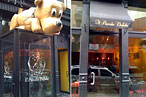 Lost Dog: Spots Goes Missing From Little Italy