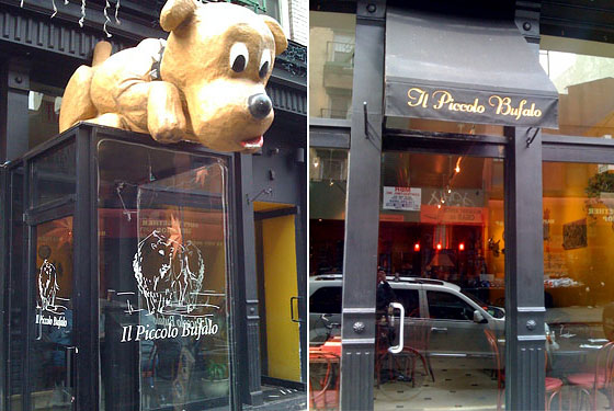 Lost Dog: Spots Goes Missing From Little Italy