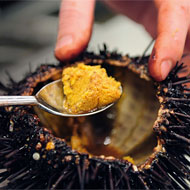 Okay, Okay, Marea’s Food Looks Great, But When Do We Get to Eat It?