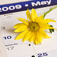 Where to Drink Heavily for Mother’s Day