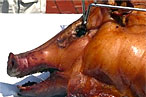Cooks’ Cookout