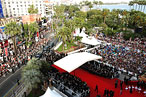 Cannes 2009: Your Questions Answered