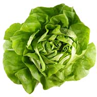 You still might want to wash your lettuce.