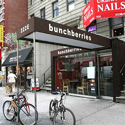 Organic Panic: Bunchberries Follows Uncle Marky’s Into the Dirt