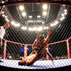 The Cost of Cage Fighting