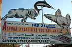 Halalarious: Gotta Love Those Live-Animal Markets