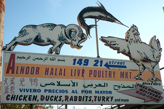 Halalarious: Gotta Love Those Live-Animal Markets