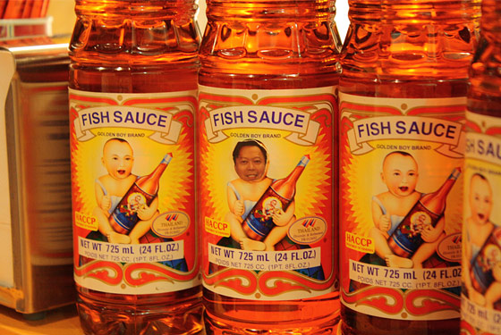 Michael Huynh Is Everywhere!