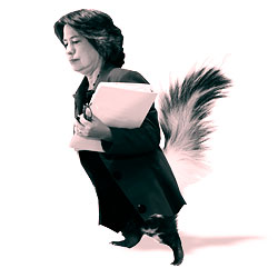 Sheila Bair Is Like ‘The Skunk at the Picnic’