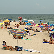 LaBan Gets Freaky at the Shore, Nichols Heads to Brauhaus