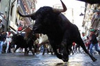 The Bulls Run at Toro Tonight